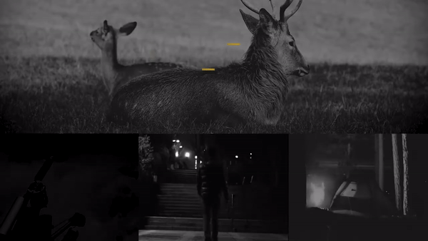 1 (3)