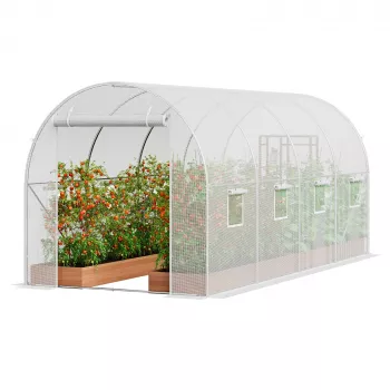 Walk-In Tunnel Greenhouse Guide: Venting, Setup, Seasons